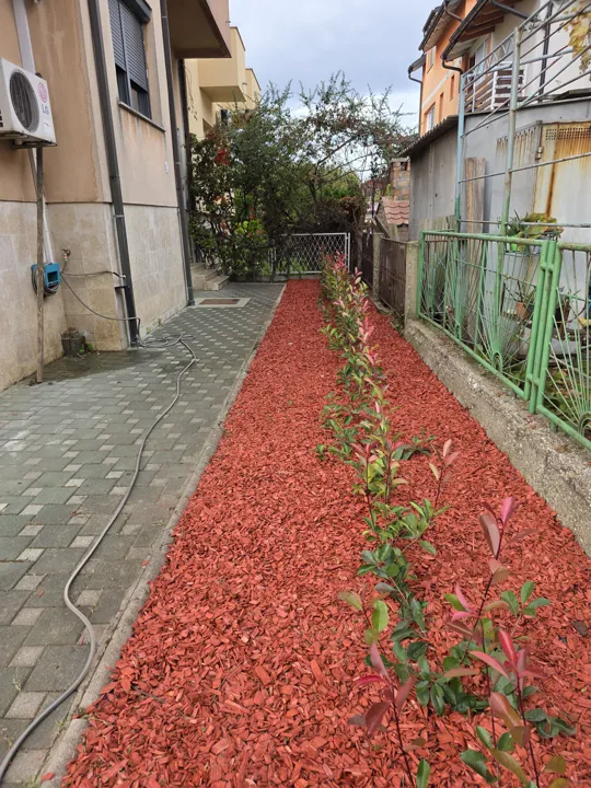 Sadnja u uskoj gredici prekrivenoj crvenim malčem.